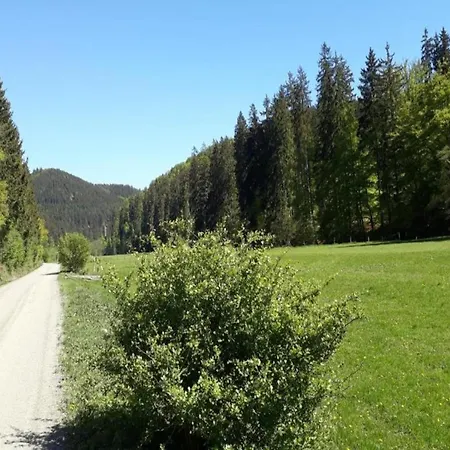 Gemuetliche Fuer 4 Personen Medebach