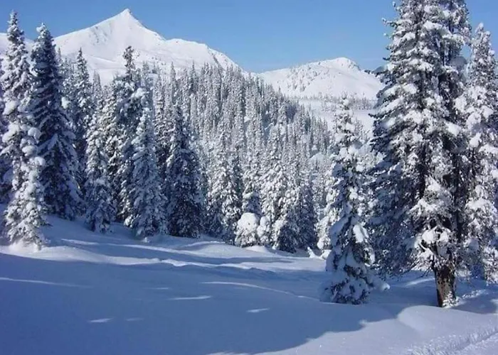 Appartement Gemuetliche Fuer 4 Personen Medebach
