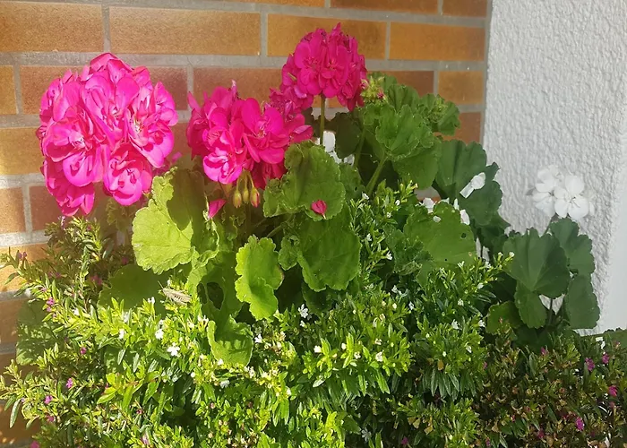 Gemuetliche Fuer 4 Personen Medebach